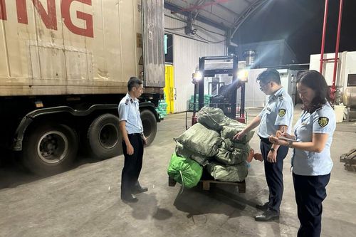 Phát hiện hơn 12 tấn chân gà đã bốc mùi hôi thối tại Quảng Ninh