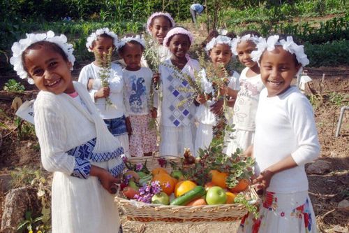 Lễ Shavuot - Giá trị văn hóa, nghệ thuật đặc sắc của đất nước Israel