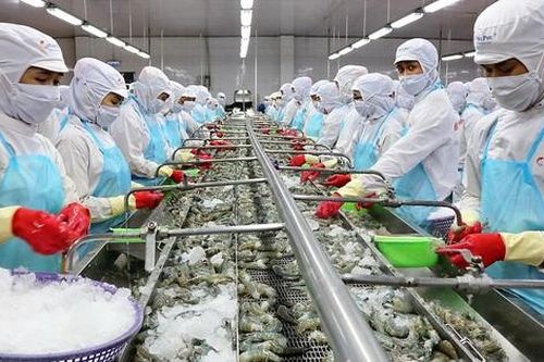 Thủy sản Minh Phú đặt mục tiêu tham vọng sau 2 năm thua lỗ
