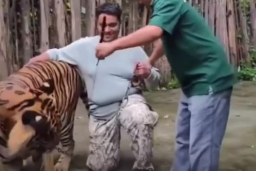 Hổ tấn công du khách, làm dấy lên tranh luận gay gắt trên mạng xã hội