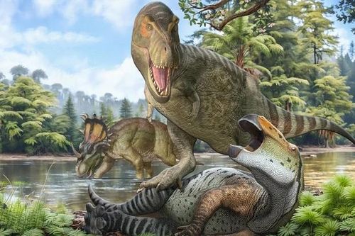 Bí ẩn T-rex 'phình to' thành bạo chúa được giải mã