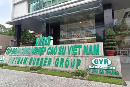 Tập đoàn Cao su Việt Nam 'dọn tổ đại bàng' trong năm bản lề của kế hoạch 5 năm