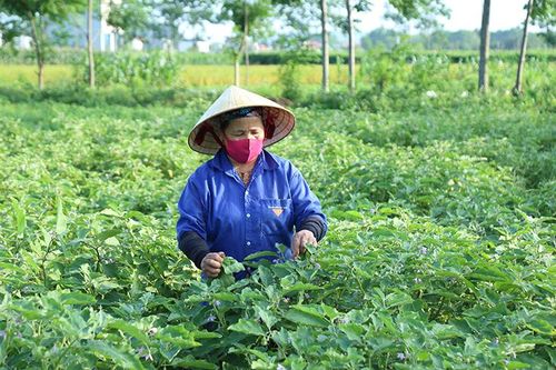 Vai trò của hội khuyến học trong trung tâm học tập cộng đồng