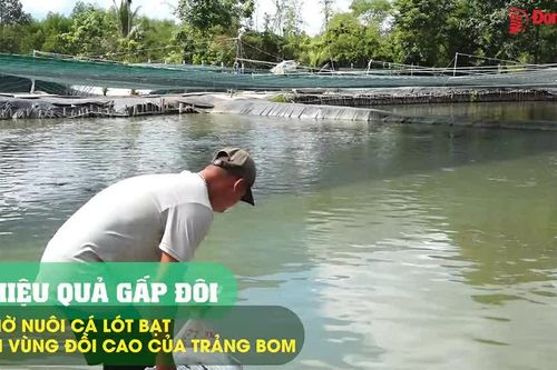 Nội soi có thể phát hiện sớm cho những loại ung thư nào?