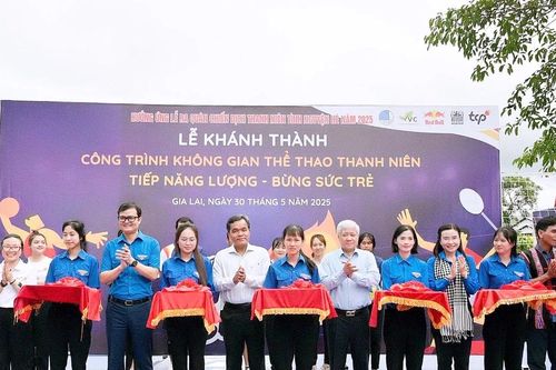 Đóng góp trí tuệ, sức trẻ giải quyết những việc khó, việc mới