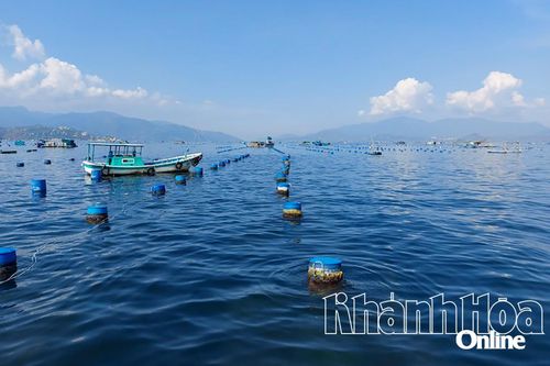 Người dân cần di dời lồng, bè nuôi trồng thủy sản vào khu vực được phép nuôi