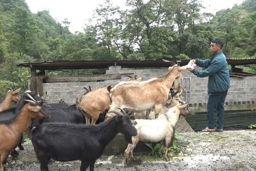 Nhiều chuyển biến trong thực hiện Nghị quyết Đại hội Đảng bộ xã nhiệm kỳ 2020 -2025