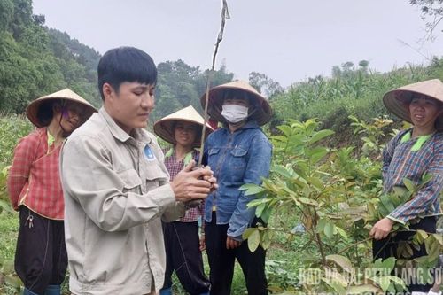Cao Lộc: Nghệ tinh nông thôn vinh