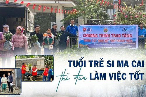 Tuổi trẻ Si Ma Cai thi đua làm việc tốt