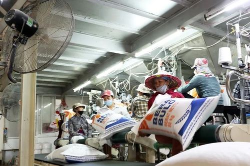Giá gạo xuất khẩu giảm trước sức ép cạnh tranh về giá