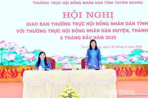 Tăng cường vai trò giám sát, nâng cao chất lượng hoạt động HĐND các cấp