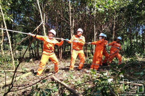 Điện lực Phú Lương: Chú trọng bảo đảm an toàn hành lang lưới điện