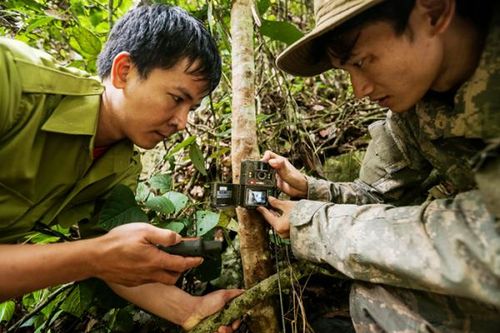 Huy động nguồn lực bảo tồn, phát triển động vật hoang dã, quý hiếm