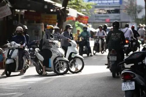 CSGT Hà Nội xử phạt hàng dài người đi ngược chiều