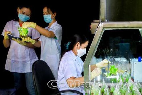 Từng bước hình thành nền kinh tế tri thức