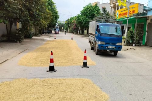 Nam Định yêu cầu truy tố người đốt rơm rạ, phơi thóc trên đường gây tai nạn