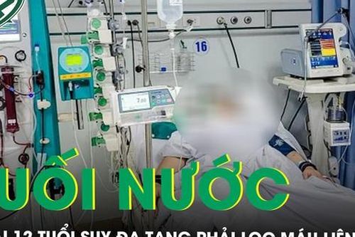 Lọc máu liên tục cứu sống bé gái 12 tuổi suy đa tạng sau đuối nước