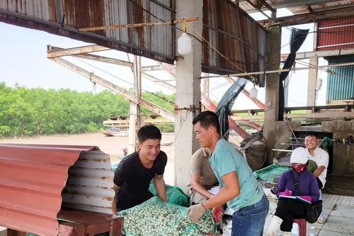 Làm giàu từ bãi bồi hoang hóa