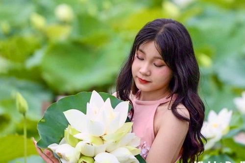 Giới trẻ đô xô chụp ảnh hoa sen trắng tại ngoại thành Hà Nội