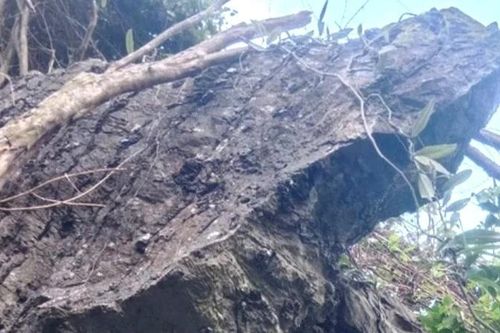 Quảng Bình lập phương án xử lý khối đá có nguy cơ sạt lở để bảo đảm an toàn cho người dân