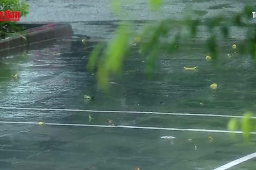 Miền Bắc mưa giải nhiệt