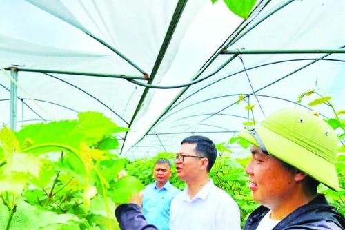 Nhân rộng những mô hình sản xuất, kinh doanh giỏi