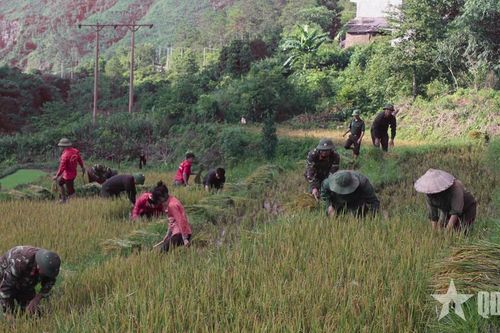 Lâm trường 156 (Đoàn Kinh tế-Quốc phòng 327): Gắn bó với dân, dựng xây biên cương