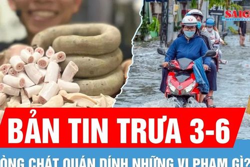 Bản tin trưa 3-6: Chiều nay miền Nam dễ dính mưa to | Lòng Chát Quán vi phạm gì?