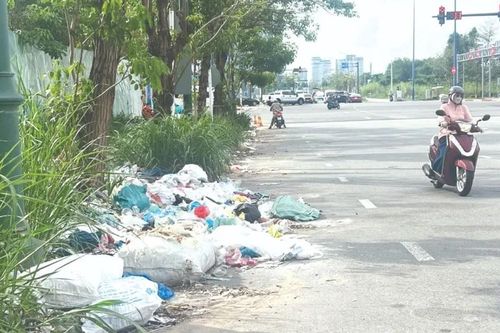 Những quy định bị… lờn: Loay hoay xử lý hành vi vứt rác bừa bãi