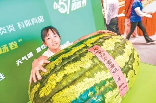 Dưa hấu 'quái vật' 100kg ở Trung Quốc thế giới choáng váng