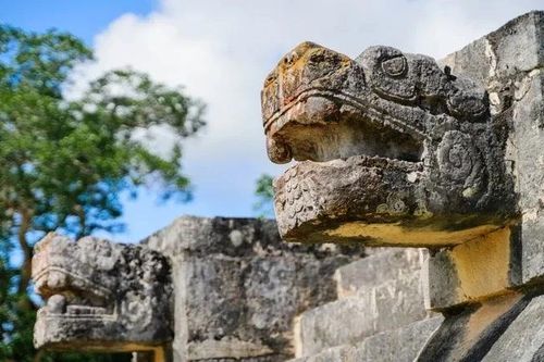Linh vật nào được người Maya tôn sùng như thần cai âm giới?