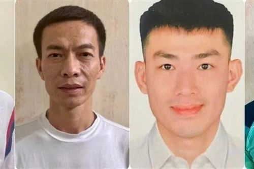 Khởi tố Tuấn 'thần đèn' liên quan đến sai phạm tại Công ty ALMA