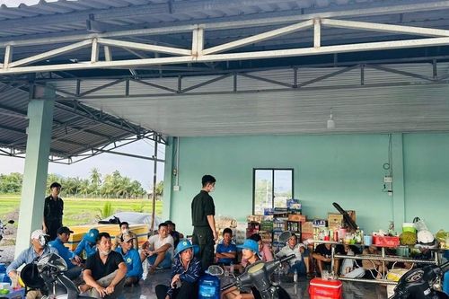 Bắt ổ đánh bạc quy mô lớn núp bóng hồ câu ở Tây Ninh
