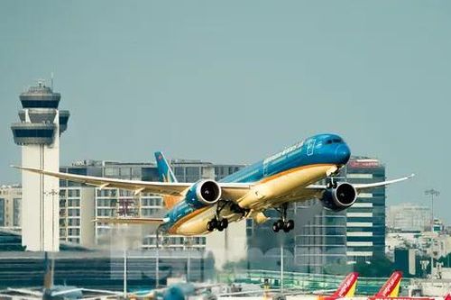 View đỉnh nóc vừa cà phê vừa săn 'chim sắt' ở Tân Sơn Nhất