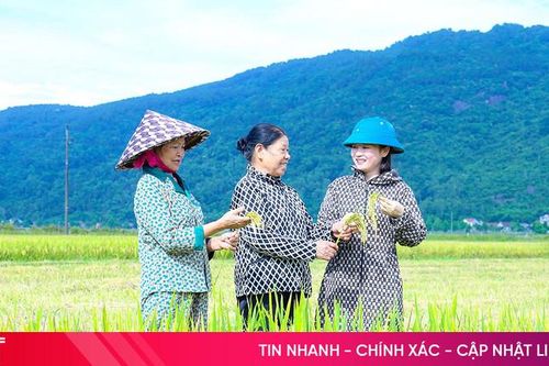 Vụ xuân thắng lợi, tạo đà cho tăng trưởng nông nghiệp Hà Tĩnh