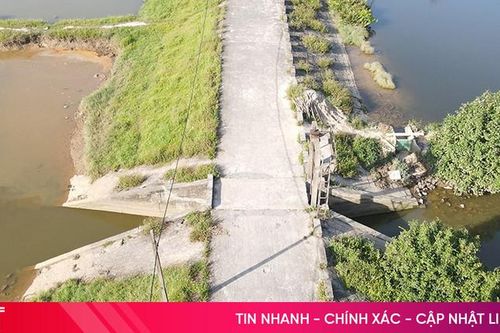 Vỡ cửa cống, nhiều diện tích ruộng lúa nhiễm mặn