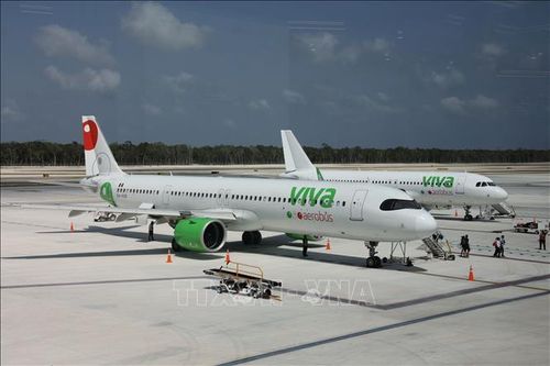 Ngành hàng không dự báo giá vé giảm mạnh