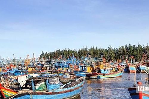 Gỡ 'nút thắt' quy hoạch và hạ tầng để thủy sản Bà Rịa - Vũng Tàu bứt tốc
