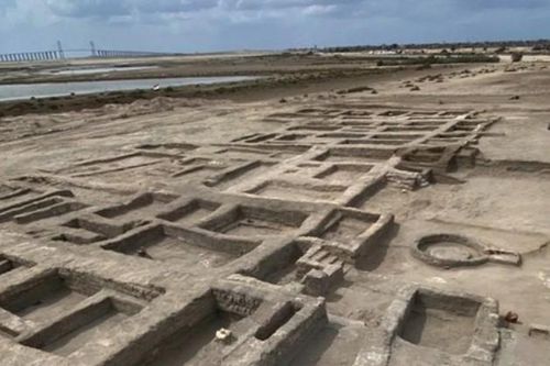 Phát hiện chấn động ở Sinai: Con đường 2.000 năm tuổi dẫn vào pháo đài cổ giữa sa mạc