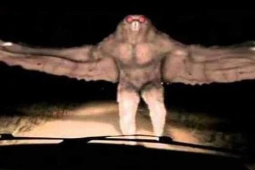 Bí ẩn quái vật Mothman: Truyền thuyết đô thị hay sinh vật chưa được khám phá?