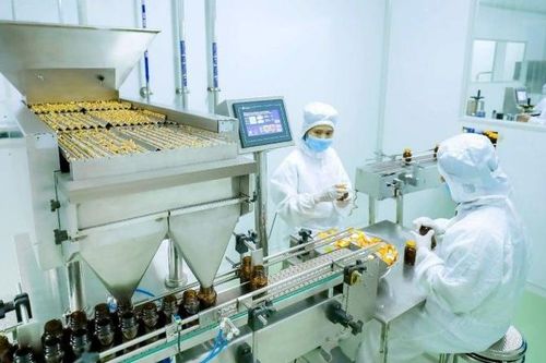 Giám sát việc tuân thủ GMP trong sản xuất thuốc và thực phẩm bảo vệ sức khỏe