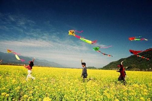 Nghỉ hè 2025: Du lịch kết hợp trải nghiệm thiên nhiên cùng các bạn nhỏ