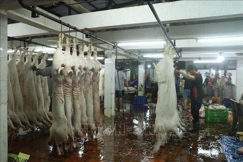 Quy trình kiểm soát giết mổ các loại gia súc, gia cầm nuôi