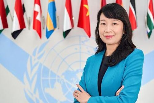 Chân dung nữ Phó giáo sư Việt Nam được đề cử Thẩm phán Tòa án Luật biển quốc tế