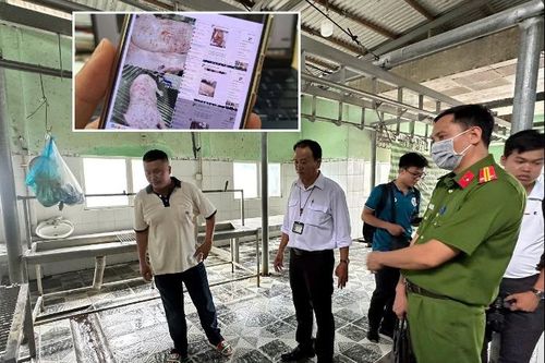 Vụ C.P. bị tố bán heo bệnh: Heo bị đóng dấu kiểm dịch sai, sẽ chuyển hồ sơ sang Bộ Công an