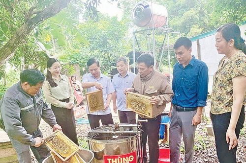 Khi nông dân bắt nhịp chuyển đổi số