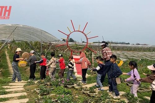 Thăm mô hình nông nghiệp tuần hoàn kết hợp du lịch trải nghiệm