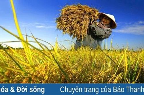 Mùa lửa mềm trên lưng mẹ