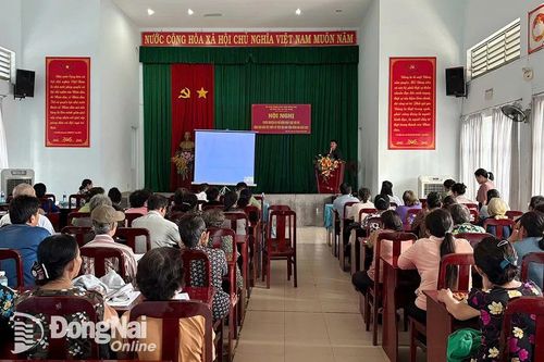 Khắp nơi trong tỉnh ngày 3-6-2025