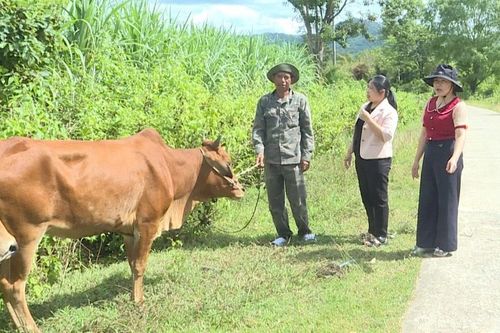 Tín dụng chính sách góp phần đẩy lùi 'tín dụng đen'